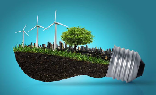 Environnement : mise en place d’un plan d’action