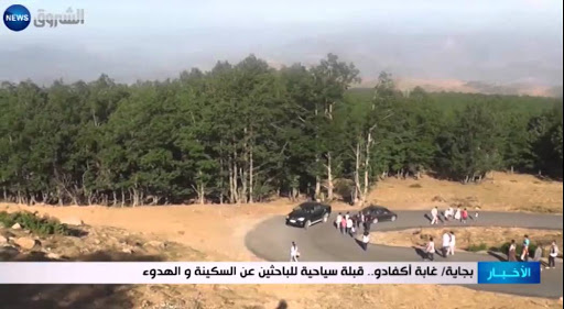 Forêt d’Akfadou Bejaia