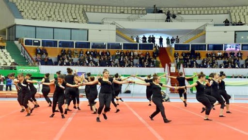 Gymnastique/Championnat d&rsquo;Afrique: l&rsquo;Egypte domine le concours général par équipe et individuel