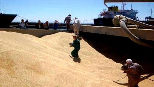 Importations des céréales: recul de plus de 25% de la facture en janvier-février