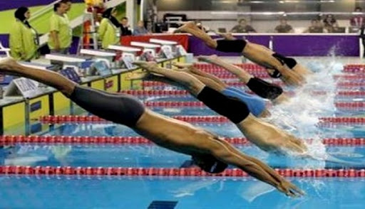 La Fédération algérienne de natation honore ses athlètes médaillés durant l’année 2015