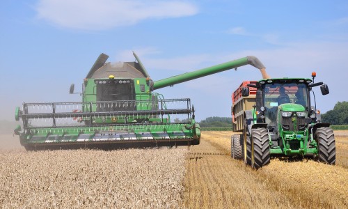 Le Maghreb sauve le blé français