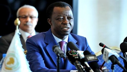 Le Parlement panafricain a un rôle à jouer dans le règlement des problèmes en Afrique