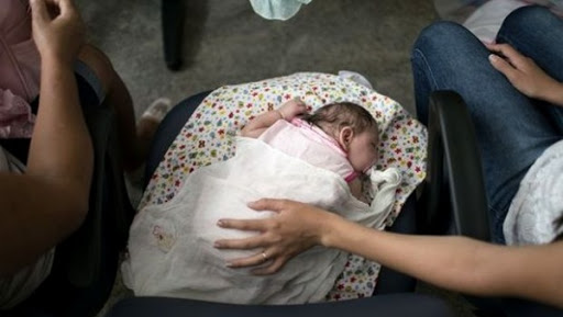 Le virus Zika s&rsquo;est introduit au Brésil via la polynésie française