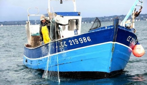 Les pays de la Méditerranée et de la Mer noire débattent à Alger de l’avenir de la pêche artisanale