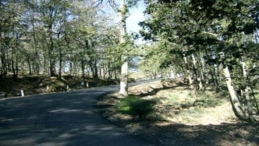 L&rsquo;étude de réalisation d’une forêt récréative à Harrouza (Tizi Ouzou ) en voie de finalisation