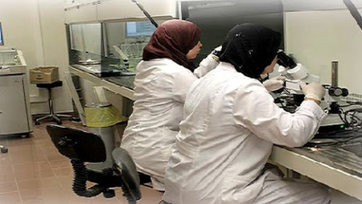 Lutte contre la tuberculose: un réseau régional de surveillance et de suivi à Oran