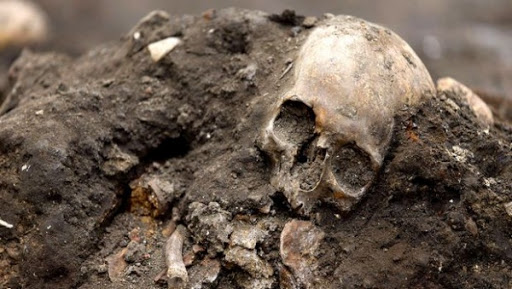 Manger de la viande crue a entraîné des changements morphologiques au niveau du visage de l’homme