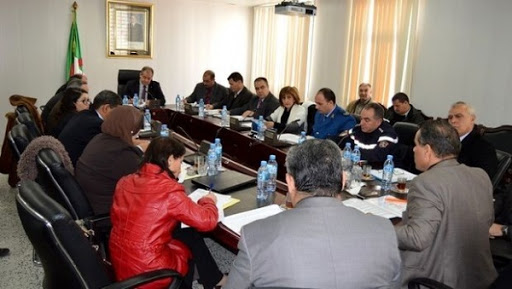 MJS : réunion sur les préparatifs des compétitions internationales en Algérie