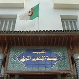 Nouvelle constitution: Le FLN fait encore de la promotion