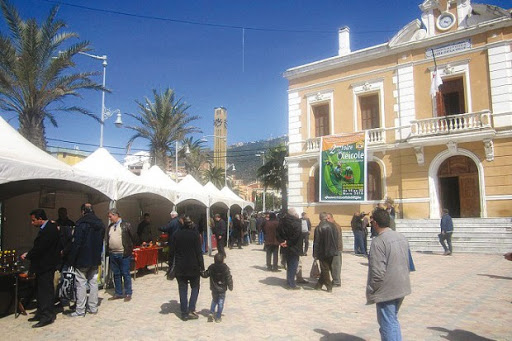 Ouverture de la 2e foire oléicole de tizi ouzou Vers le lancement d’une association de wilaya des producteurs d’olives