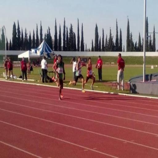 Paralympiade: quelque 500 jeunes talents au rendez-vous de Blida