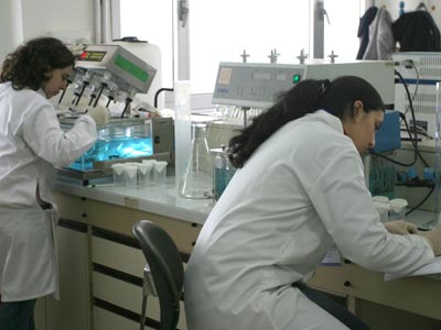 Place des femmes dans les hautes sphères de l’état Sans la parité…