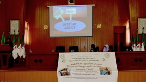 Plaidoyer pour une stratégie de développement de l’élevage camelin en Algérie