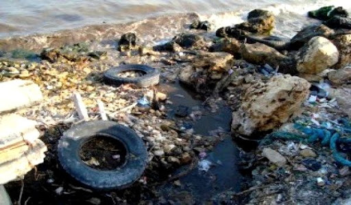 Plus de 3.800 infractions à l&rsquo;environnement recensées dans la wilaya d&rsquo;Alger