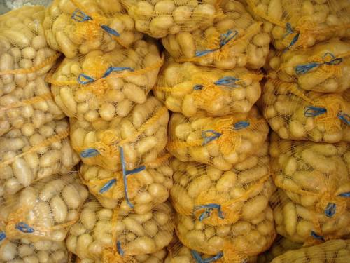 Pomme de terre: des opportunités pour les exportateurs et transformateurs