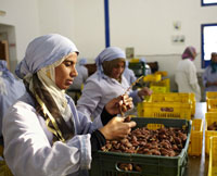 Produits du terroir : Mesures pour les exporter