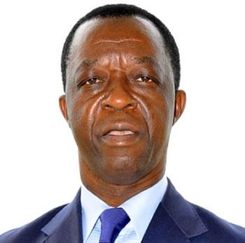 Roger nkido dang, président du parlement panafricain L&rsquo;Algérie est un poids lourd en Afrique