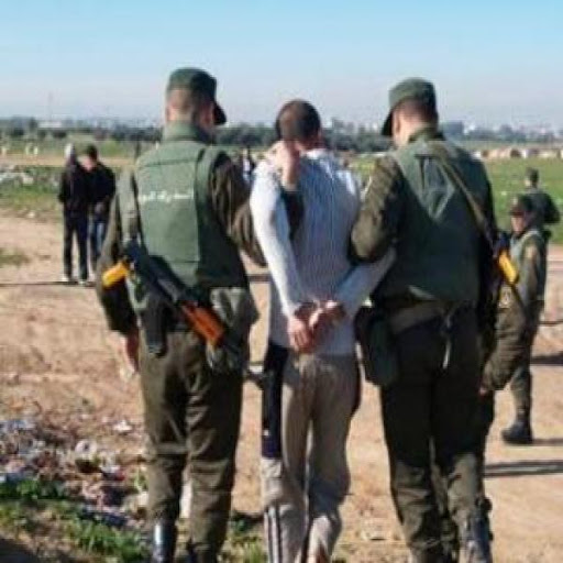 Six personnes arrêtées, des armes et munitions saisies à Khenchla et Mila