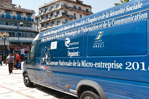 Skikda: Des jeunes promoteurs Ansej formés par Algérie Télécom