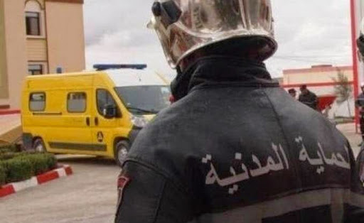 Sur alerte de citoyens: Les pompiers de Sebdou sauvent une cigogne coincée dans un pylône