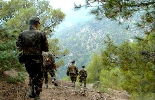 Trois casemates détruites à Bouira et Tizi Ouzou