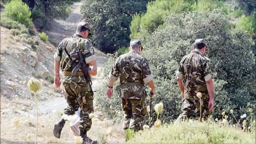 Trois casemates et six mines anti-personnel détruites à Boumerdès et Chlef