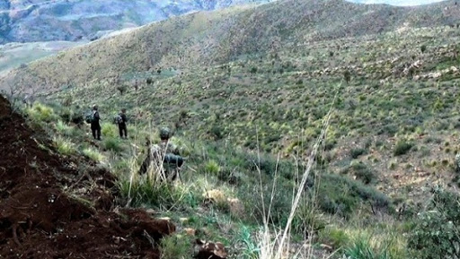 Trois terroristes abattus à Tizi-Ouzou (MDN)