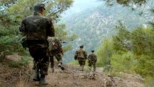 Un terroriste se rend aux Forces de l’ANP