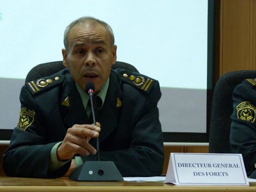 Valoriser les ressources forestières pour contribuer à la relance économique