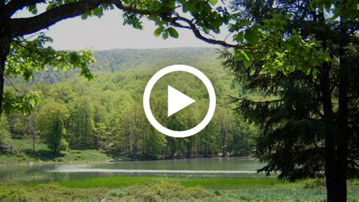 Vidéos. L’Akfadou : le paradis kabyle