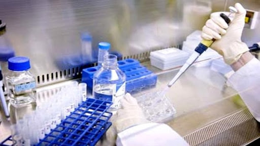 Zika : l’OMS parle de preuves « de plus en plus solides » d’un lien entre le virus et la microcéphalie