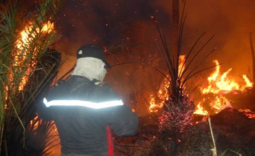 10 HA d’Oasis partis en fumée