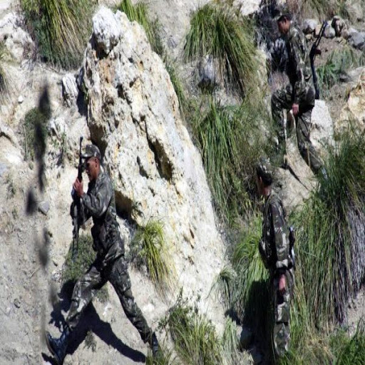 4 abris pour terroristes détruits et des armes saisies à Jijel