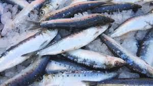 Alors qu&rsquo;elle a atteint le seuil des 800 DA: Une campagne pour tenter de faire chuter les prix de la sardine