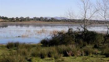 Ambition environnementale de l&rsquo;Algérie: Une équation à plusieurs inconnues