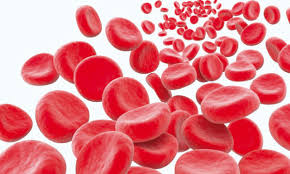 Anémie et fatigue: 20% des Algériens souffrent de carence en fer