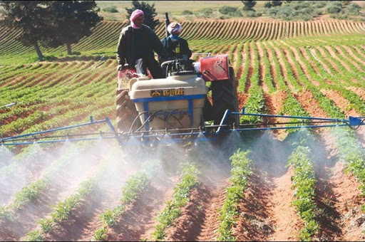 Ansej de la wilaya de Tiaret: Près de 4 500 projets dans les services et l’agriculture