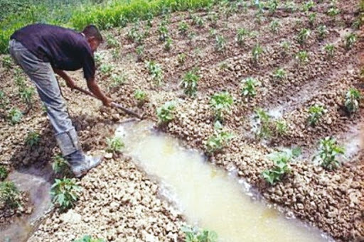 Bon de transaction commerciale: Un concept flou à Oran