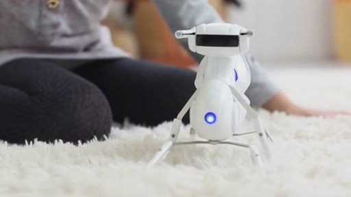 Ce robot-insecte à programmer soi-même est notre futur animal de compagnie