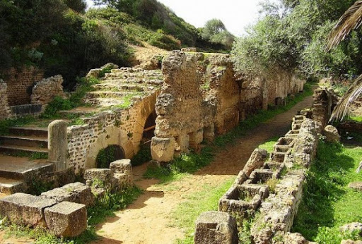 Colloque national du patrimoine archéologique(Tipasa): plaidoyer pour la numérisation du patrimoine et sa valorisation