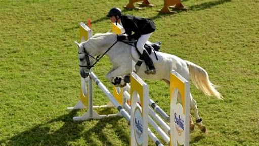 Concours national de saut d’obstacles: le cavalier Chlef Bouabdellah remporte le prix de Youm El Ilm