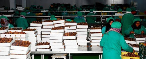 Dattes : vers l’exportation de 60 000 tonnes