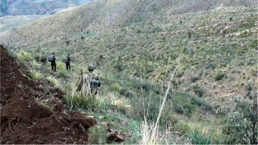 Destruction d&rsquo;abris pour terroristes et saisie d&rsquo;armes et de munitions dans différentes régions du pays (MDN)