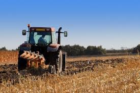 El-Tarf: Journée de formation au profit des agriculteurs