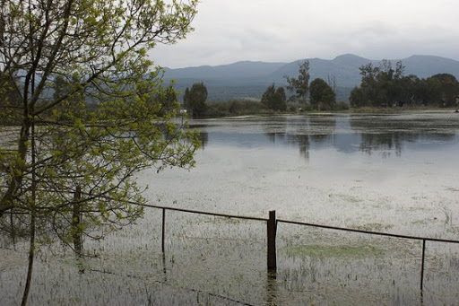En voulant ramasser des œufs sauvages Deux collégiens se noient dans le lac Fetzara à Annaba