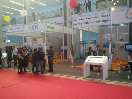 Guelma: La direction de l’emploi dresse son bilan
