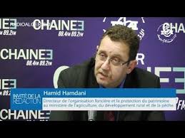 Hamid Hamdani, Directeur central de l’organisation foncière et de la protection des patrimoines