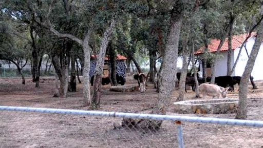 Jijel: le parc animalier de Kissir, destination privilégiée de Bejaouis