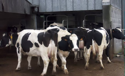 Le secteur privé pour la « relance » des fermes pilotes abandonnées